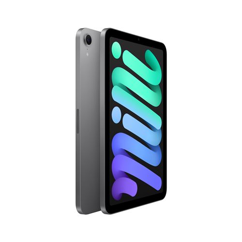 Apple iPad Mini - 128 Go - Gris Sidéral