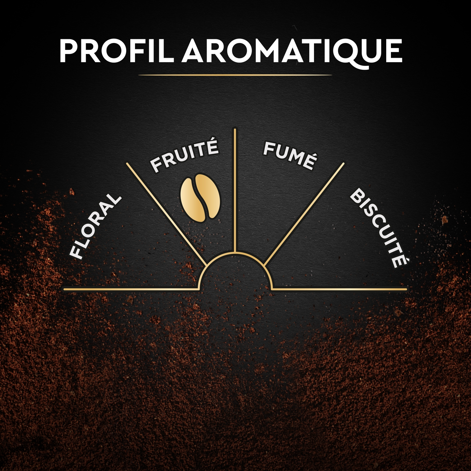 CARTE NOIRE Café moulu classique 2 x 250 g