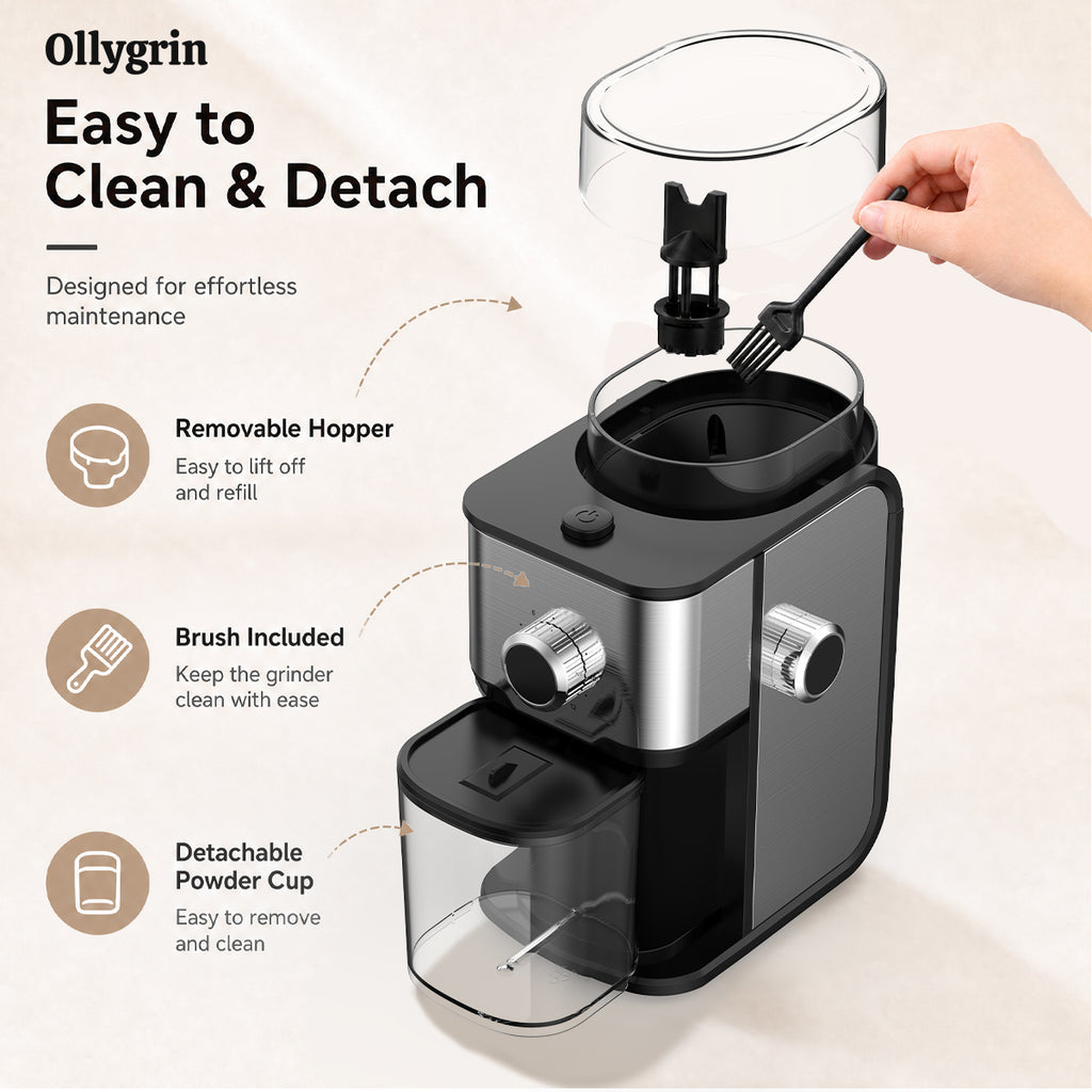 Ollygrin BG705 Moulin à café électrique à meules plates, réglable pour un usage domestique, compact, avec 14 réglages de mouture, 2 à 12 tasses, pour la maison et le bureau