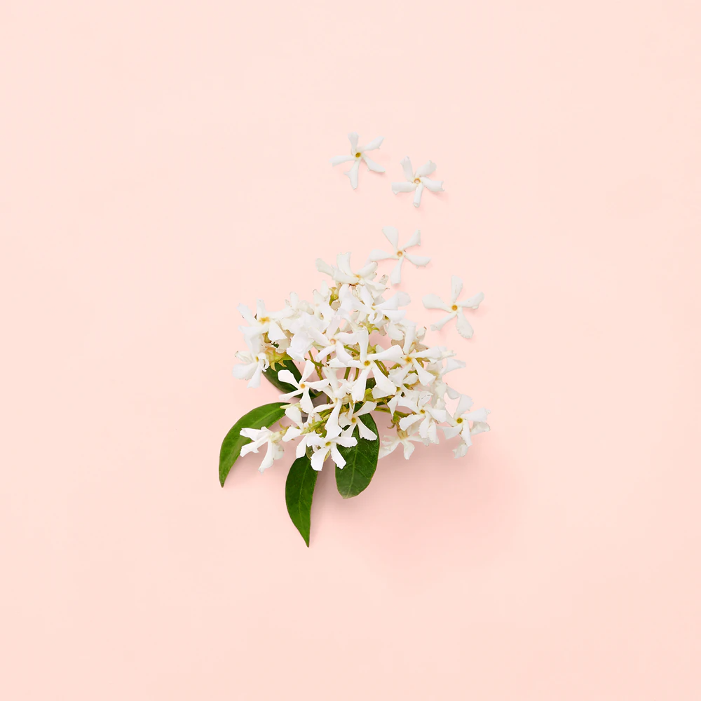 GUCCI Bloom Eau de Parfum Vaporisateur 30ml