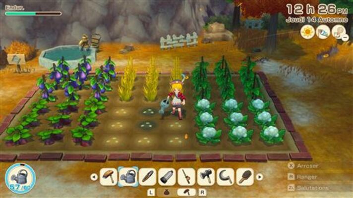 Story of seasons grand bazaar - switch - version française