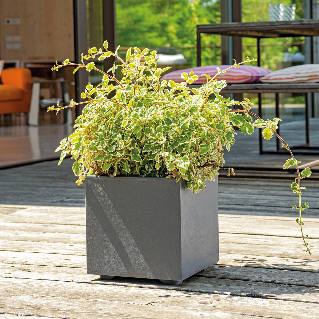 DEROMA Cubo Millennium R Anthracite à réserve d'eau 25cm