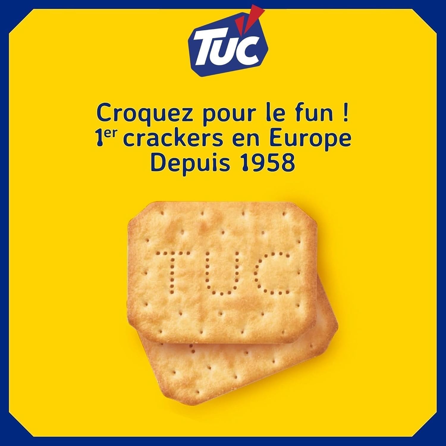 TUC Crackers Savoureux Crème Aigre et Oignon, 100 g