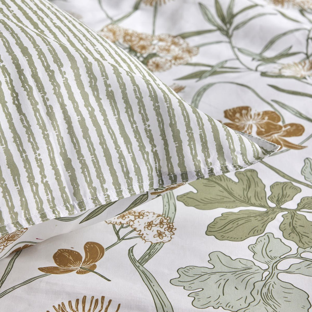 TODAY Ensemble de literie double, coton 57 fils, Sunshine 220 x 240 cm