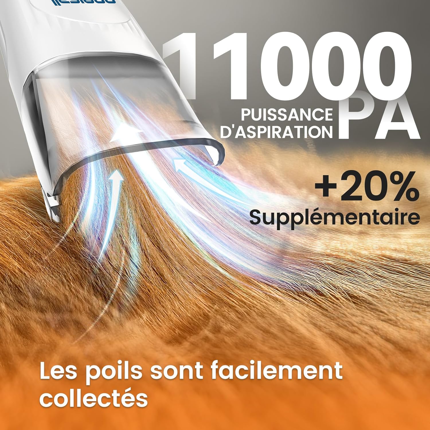 Oneisall Tondeuse pour chien avec aspirateur et brosse | Aspirateur pour poils, puissance d'aspiration super 12000 Pa, aspire 99,99 % des poils d'animaux, 7 accessoires de soin, 1,5 L