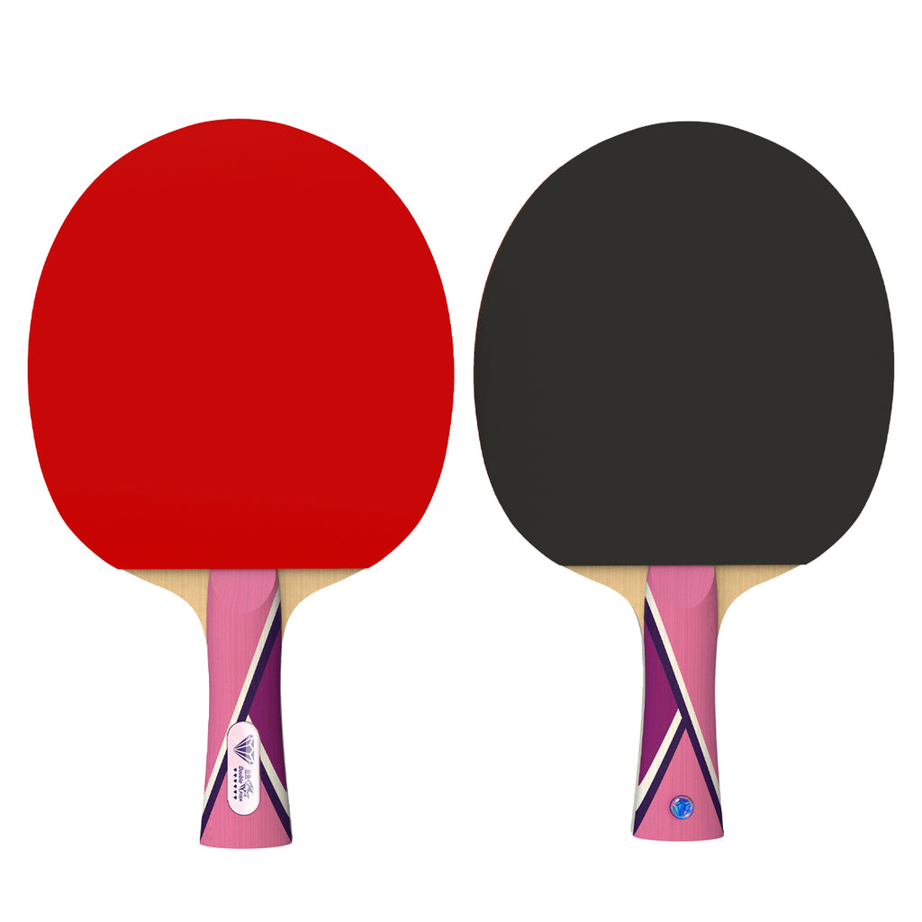 DOUBLE FISH Série Diamant 6 étoiles Raquette de ping-pong d’entraînement