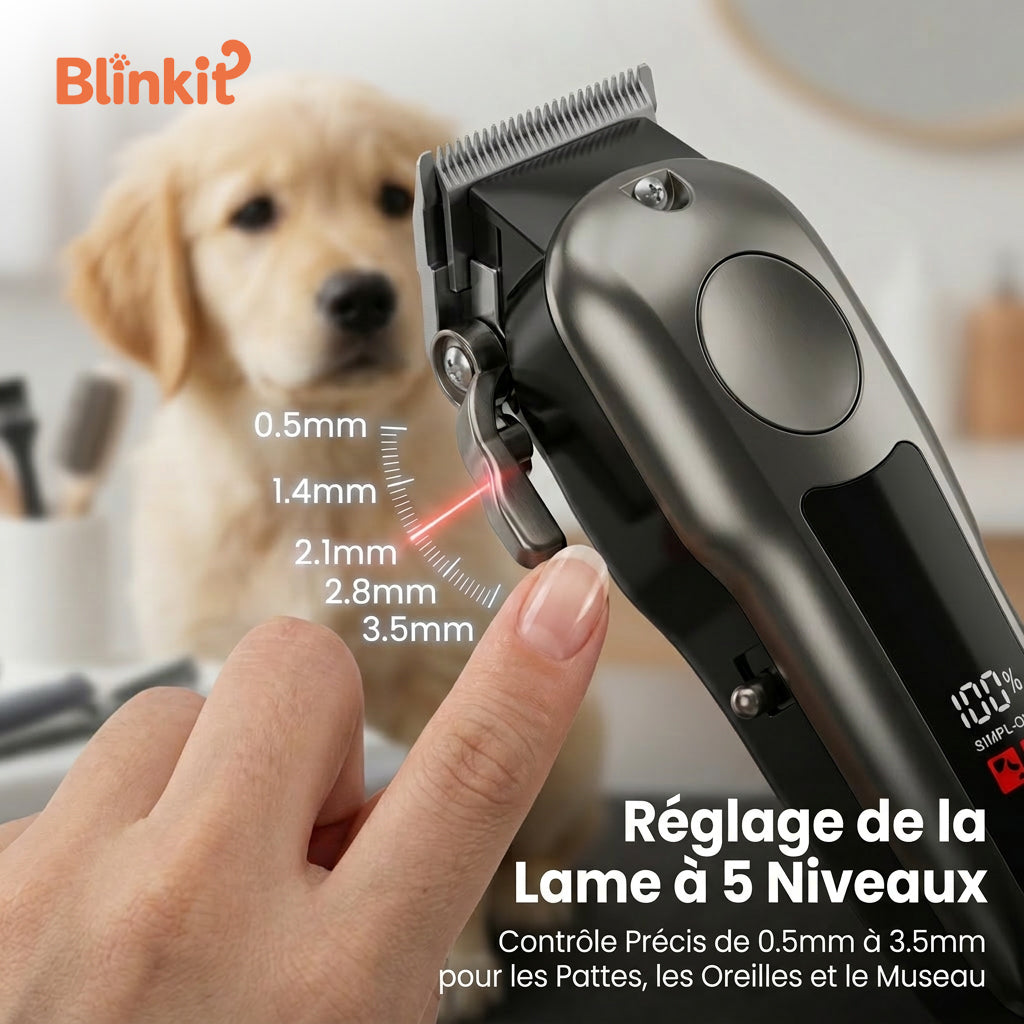 Blinkit tondeuse pour animaux conçue pour les poils épais et lourds / faible bruit avec 10 sabots, rechargeable