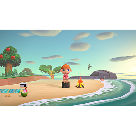 Nintendo Animal Crossing: New Horizons - Switch - Version française