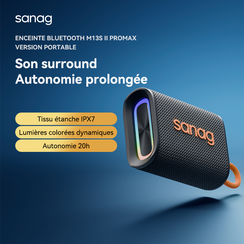 Sanag M13S II Pro Max Enceinte sans fil Bluetooth portable et étanche - Noir