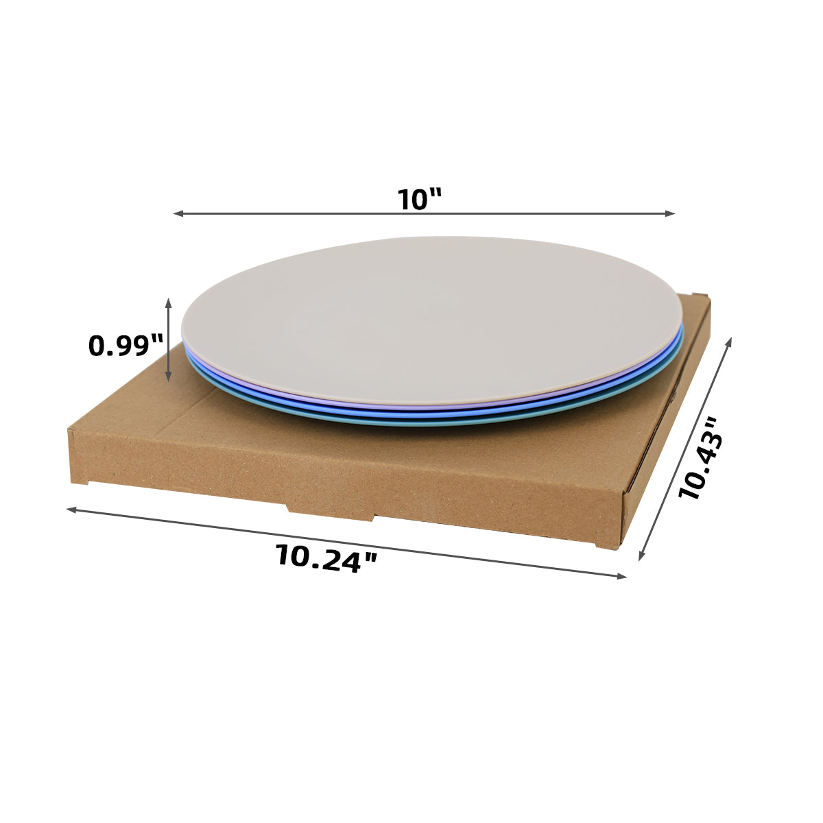 Assiettes plates en plastique, 10 pouces, lot de 4, compactes et portables pour la maison