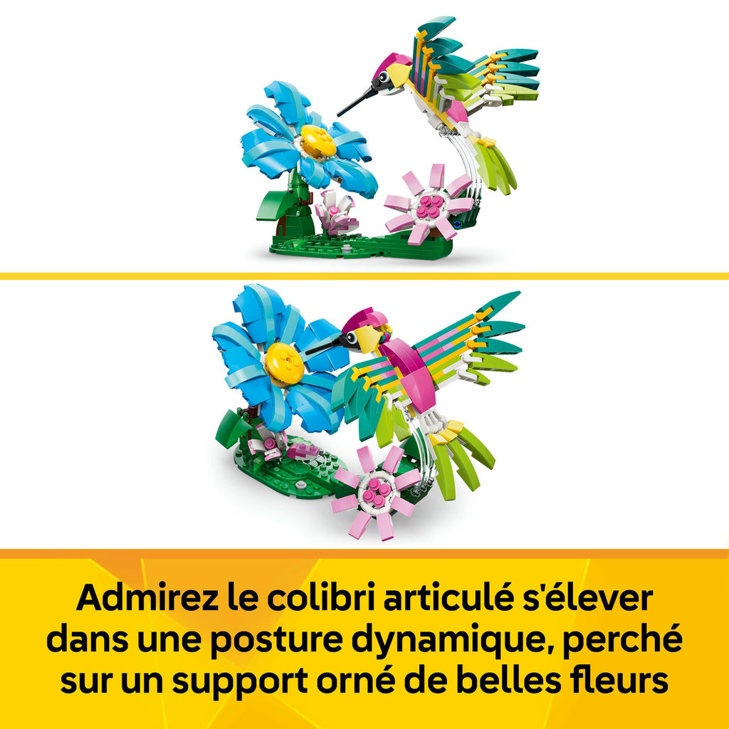 LEGO Creator 31384 Animaux sauvages : le colibri coloré