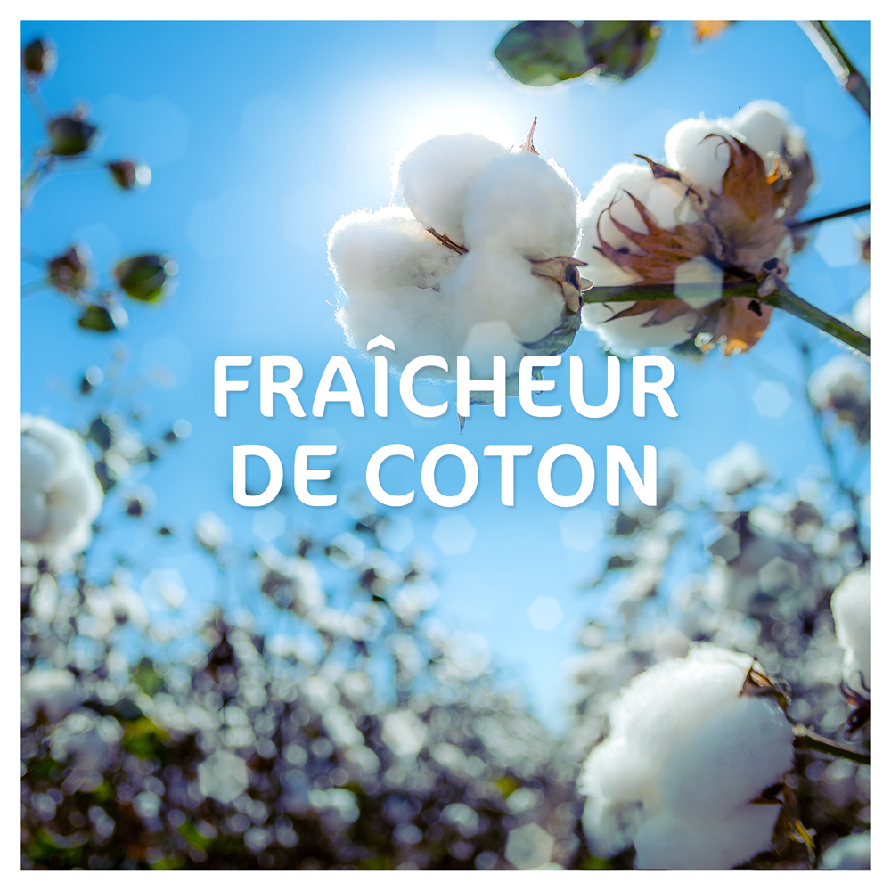DASH Tablettes 2-en-1, Protection anti-odeur, fraîcheur de coton, 28 doses