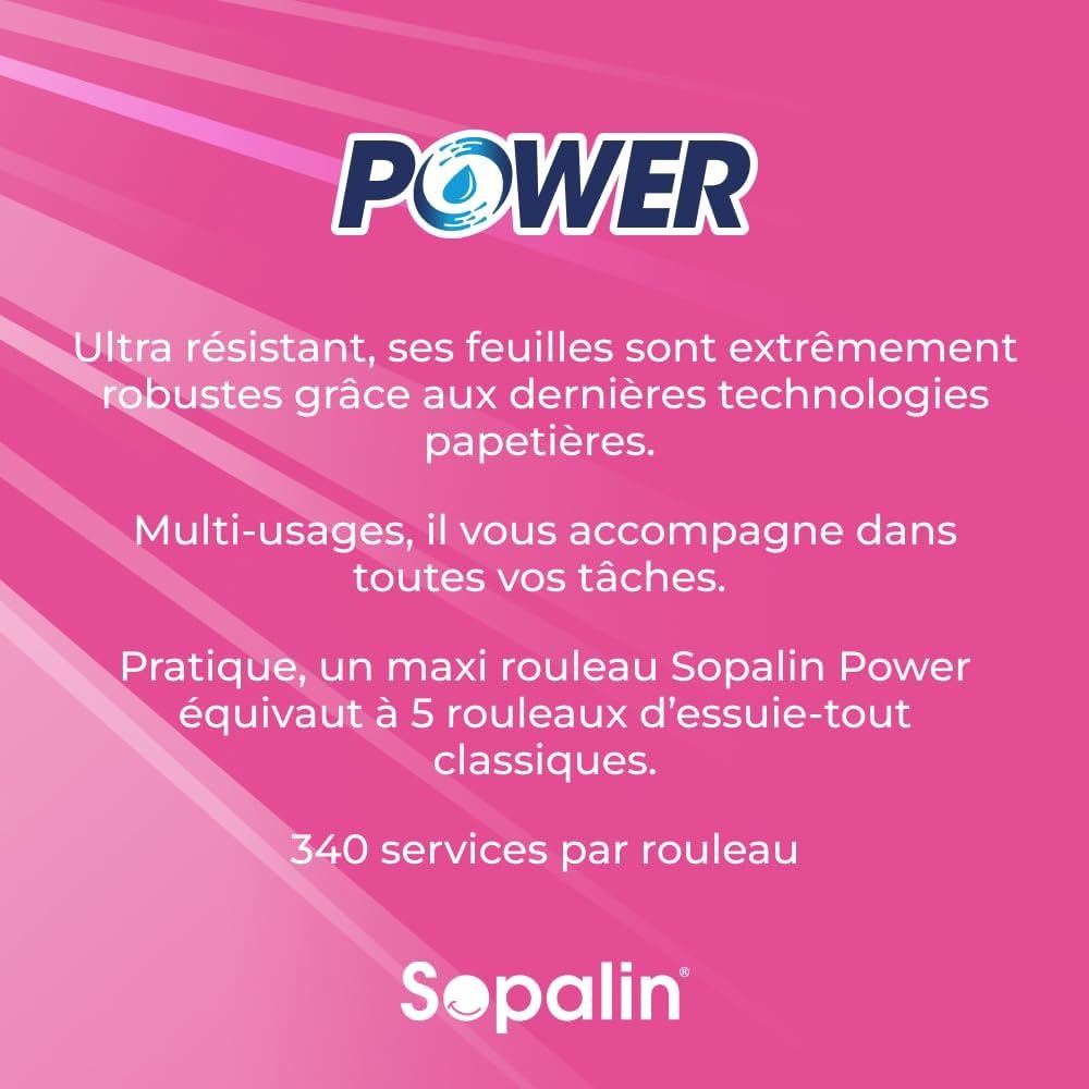 SOPALIN Essuie-Tout 2 Épaisseurs Ultra Résistant, 250 Feuilles, 1 Maxi Rouleau (Équivalent à 5 Rouleaux Standards)