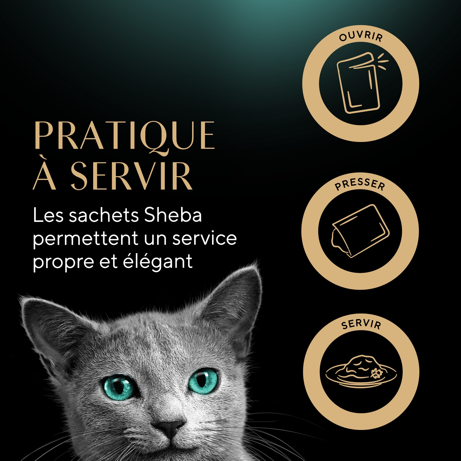 Sheba Délices du Jour aux Poissons - Aliment pour chat - 6 x 50 g