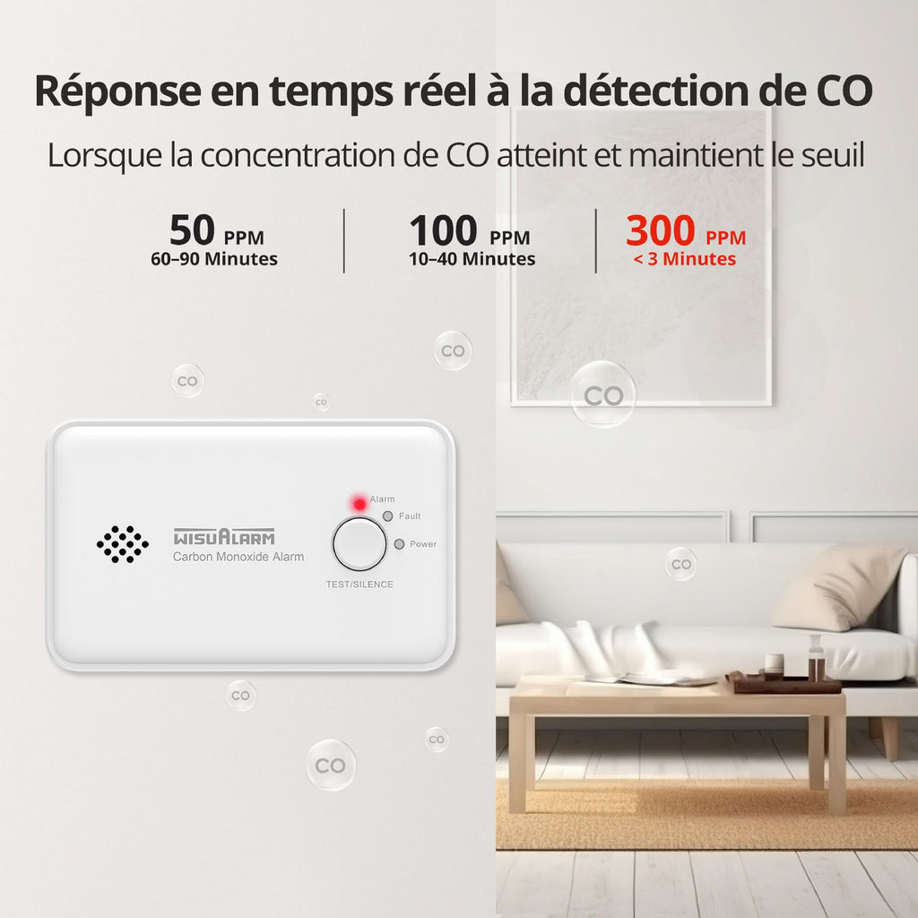 WISUALARM Détecteur de monoxyde de carbone capteur 10 ans C03
