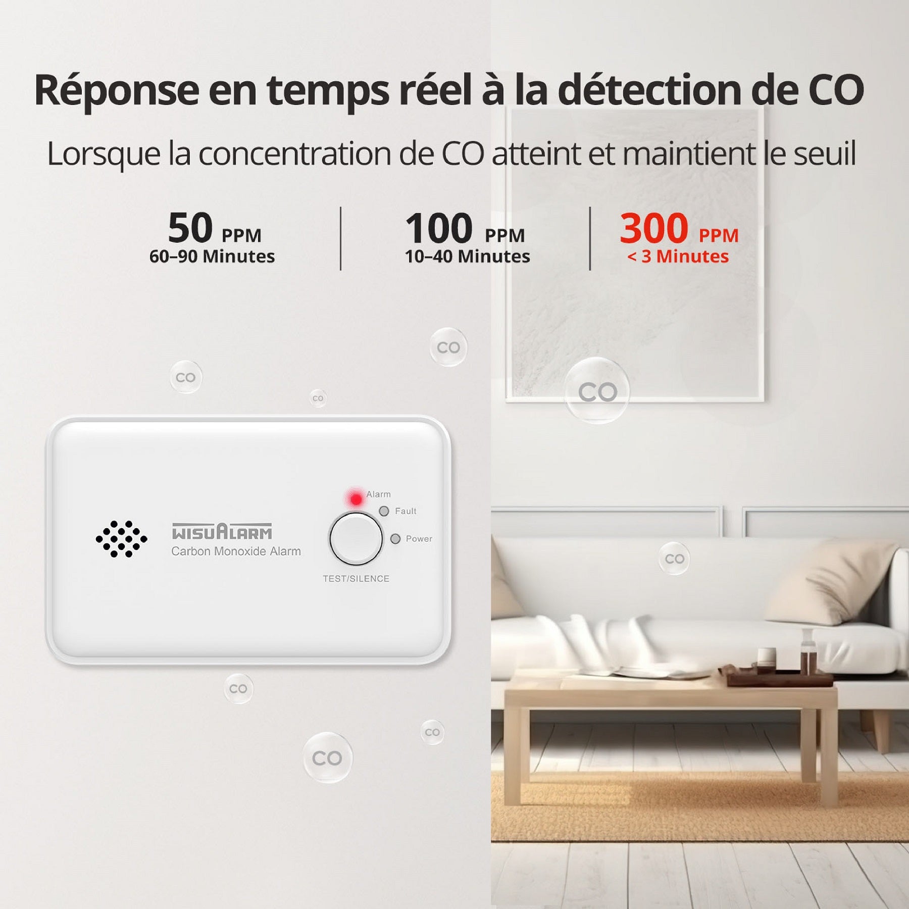 WISUALARM Détecteur de monoxyde de carbone capteur 10 ans C03
