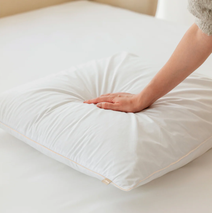 MORPHEA Oreiller Drimz en plumes et duvet de canard - 60 x 60 cm