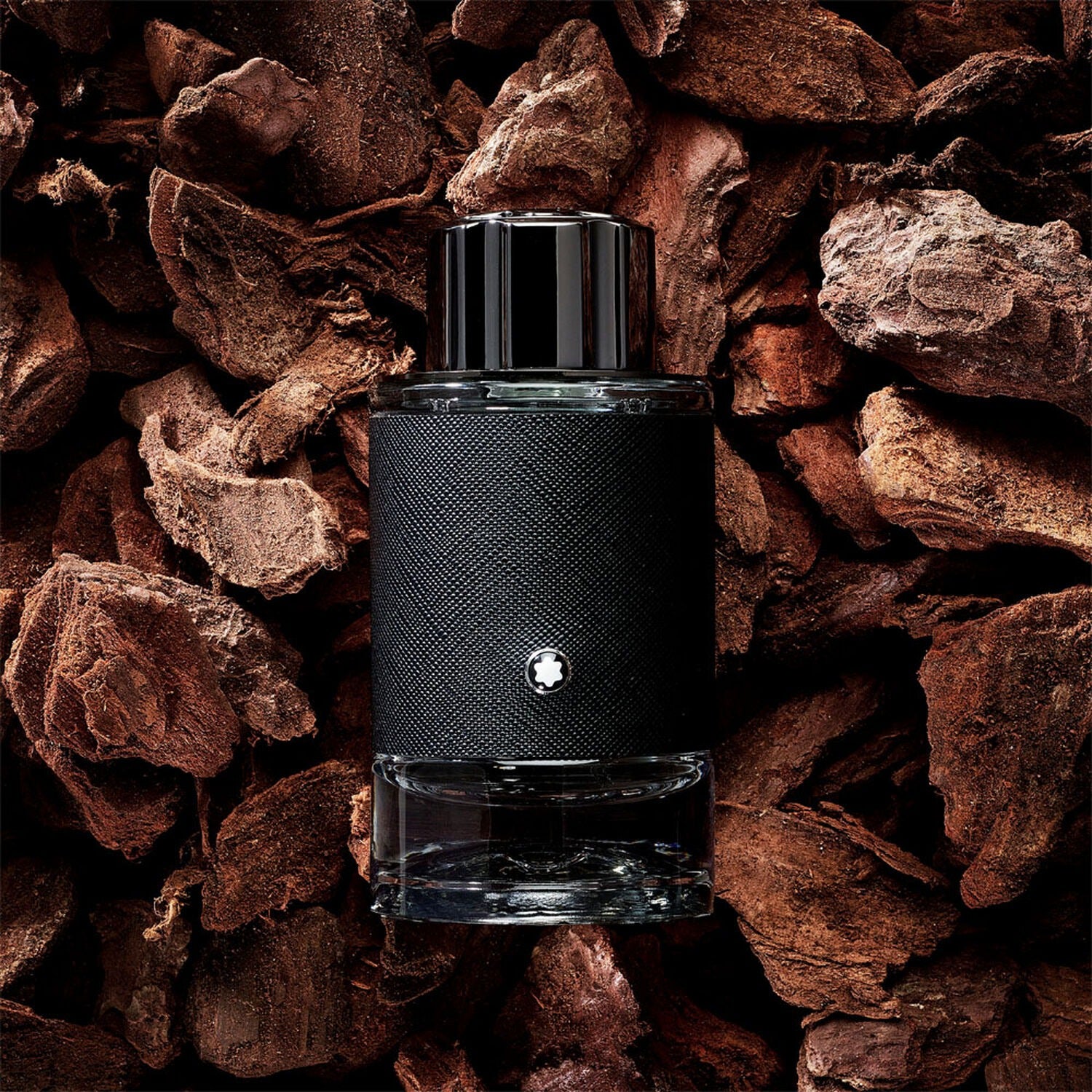MONTBLANC Explorer Eau de Parfum Vaporisateur pour Homme 100ml