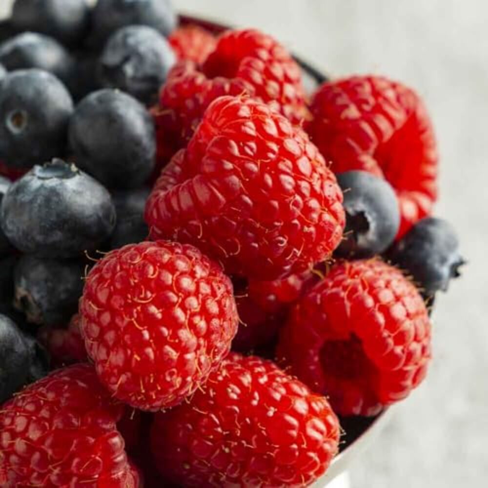 Nutri&Co Draineur en poudre - goût Fruits Rouges - 100 g