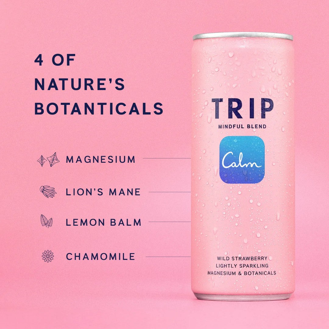 TRIP fraise des bois can 33cl x12