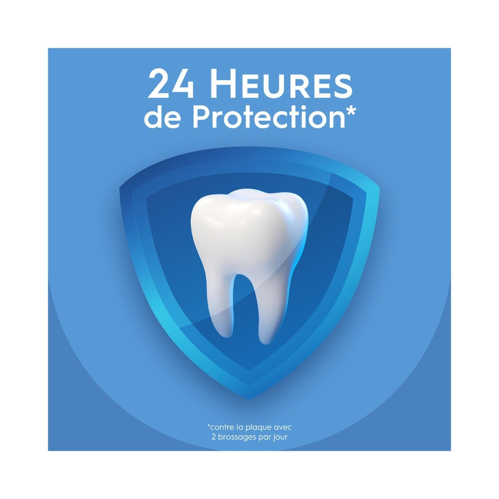 Oral-B Pro Expert Dentifrice Nettoyage Intense 75 ml - Lot de 3 (3 x 75 ml = 3 tubes)