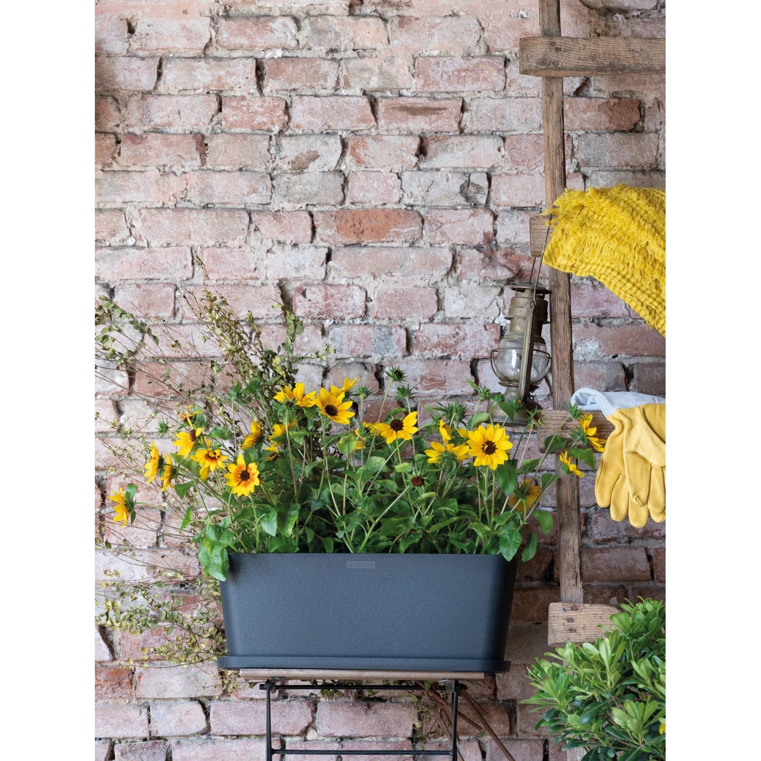 Deroma Soucoupe Origin Anthracite 58
