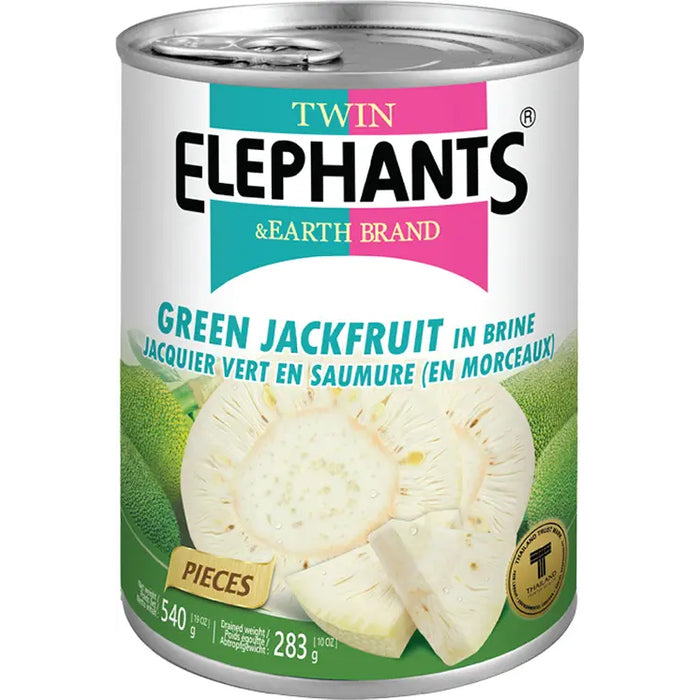 TWIN ELEPHANTS Fruit du jacquier vert 540g