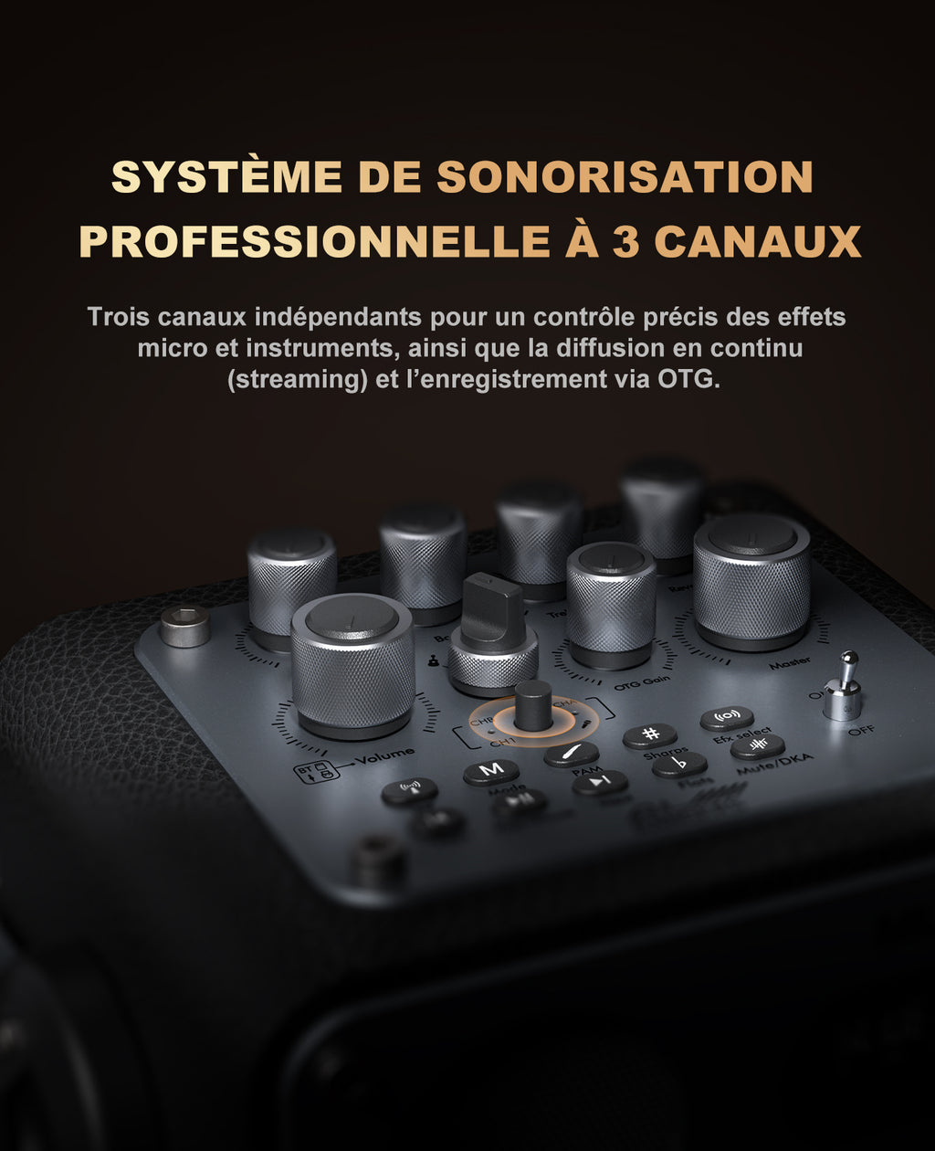 Système de Karaoké Bluetooth Mlove Rangers D4 , Enceinte Portable avec Microphones Sans Fil et Enregistrement Vocal Haute Fidélité