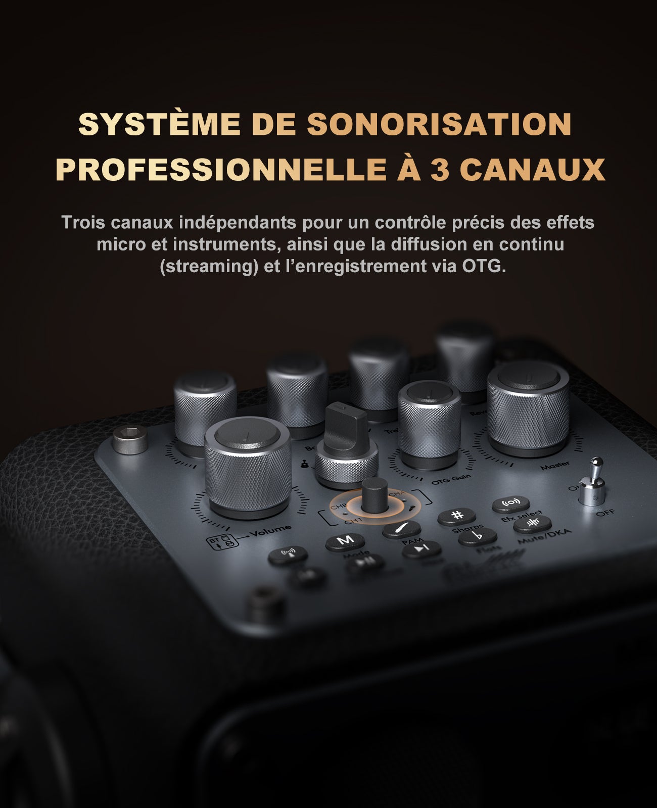Système de Karaoké Bluetooth Mlove Rangers D4 , Enceinte Portable avec Microphones Sans Fil et Enregistrement Vocal Haute Fidélité