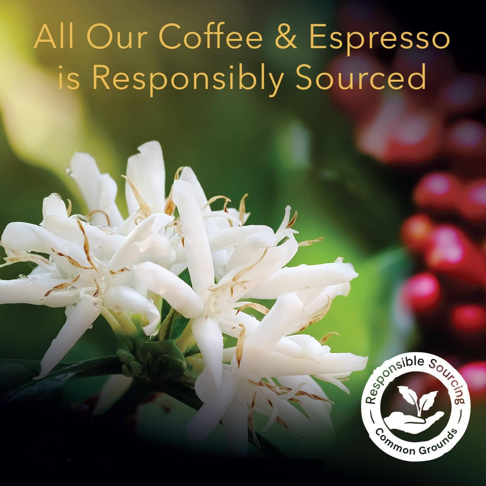 L'OR Espresso Brésil x50