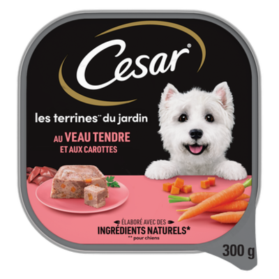 Cesar aliment chien terrine les inspirations du jardin veau carotte1 barq 300 gr