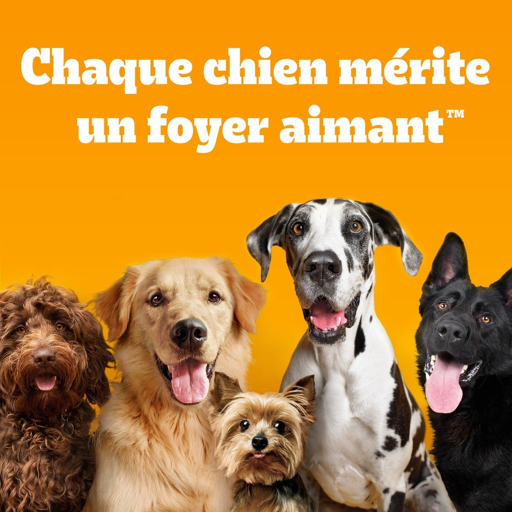 Pedigree Tasty Minis friandises pour chien au bœuf et au fromage - 140 g