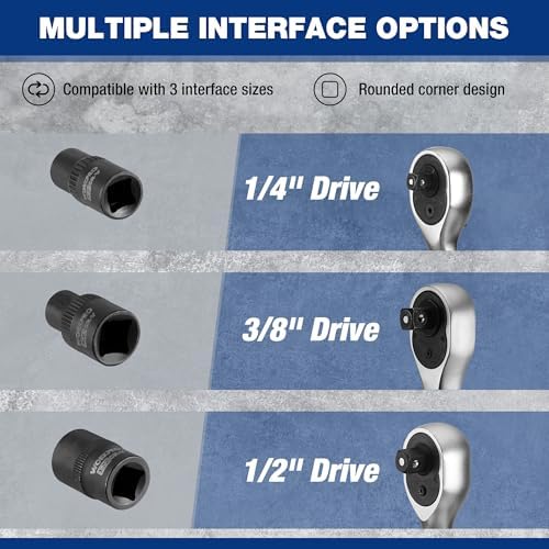 WORKPRO Jeu de 60 Pièces de Douilles d'Embouts Torx Master, Embouts 1/4", 3/8", 1/2", E4-E24, T6-T70, TT6-TT70, TP8-TP60, avec Étui de Rangement Amélioré