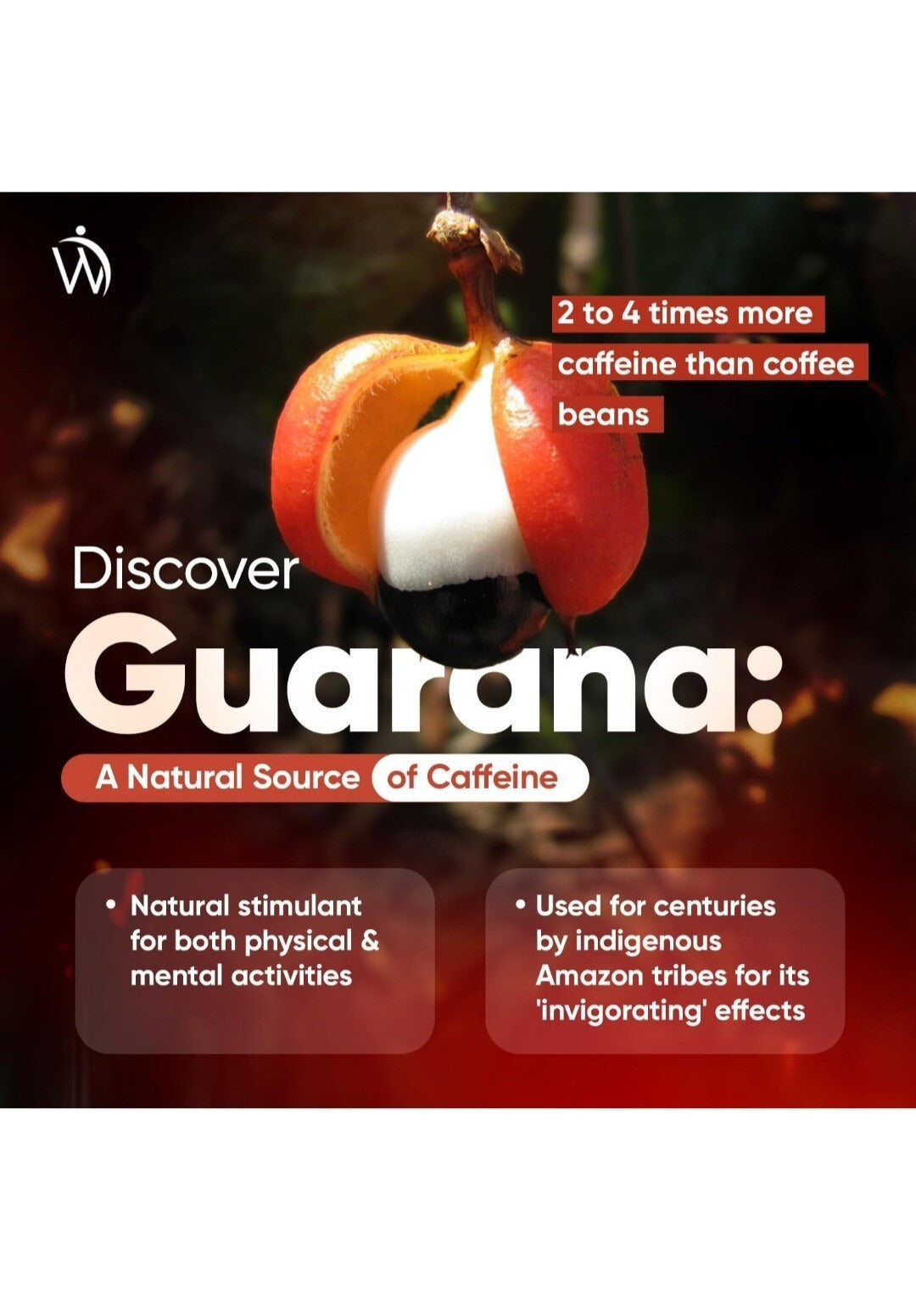 WeightWorld Pure Guarana 4800 mg 180 gélules