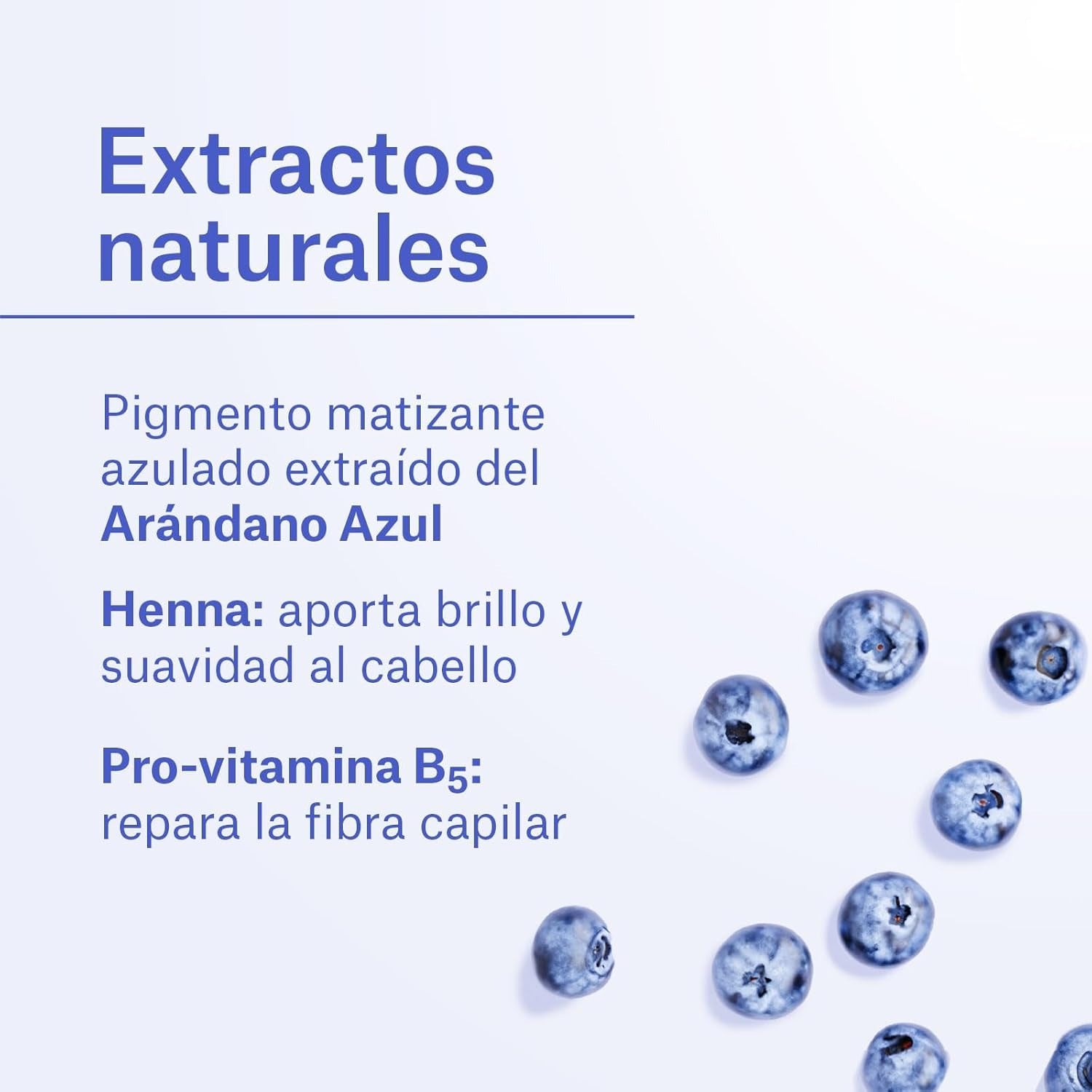 NaturVital Masque capillaire argenté 300 ml