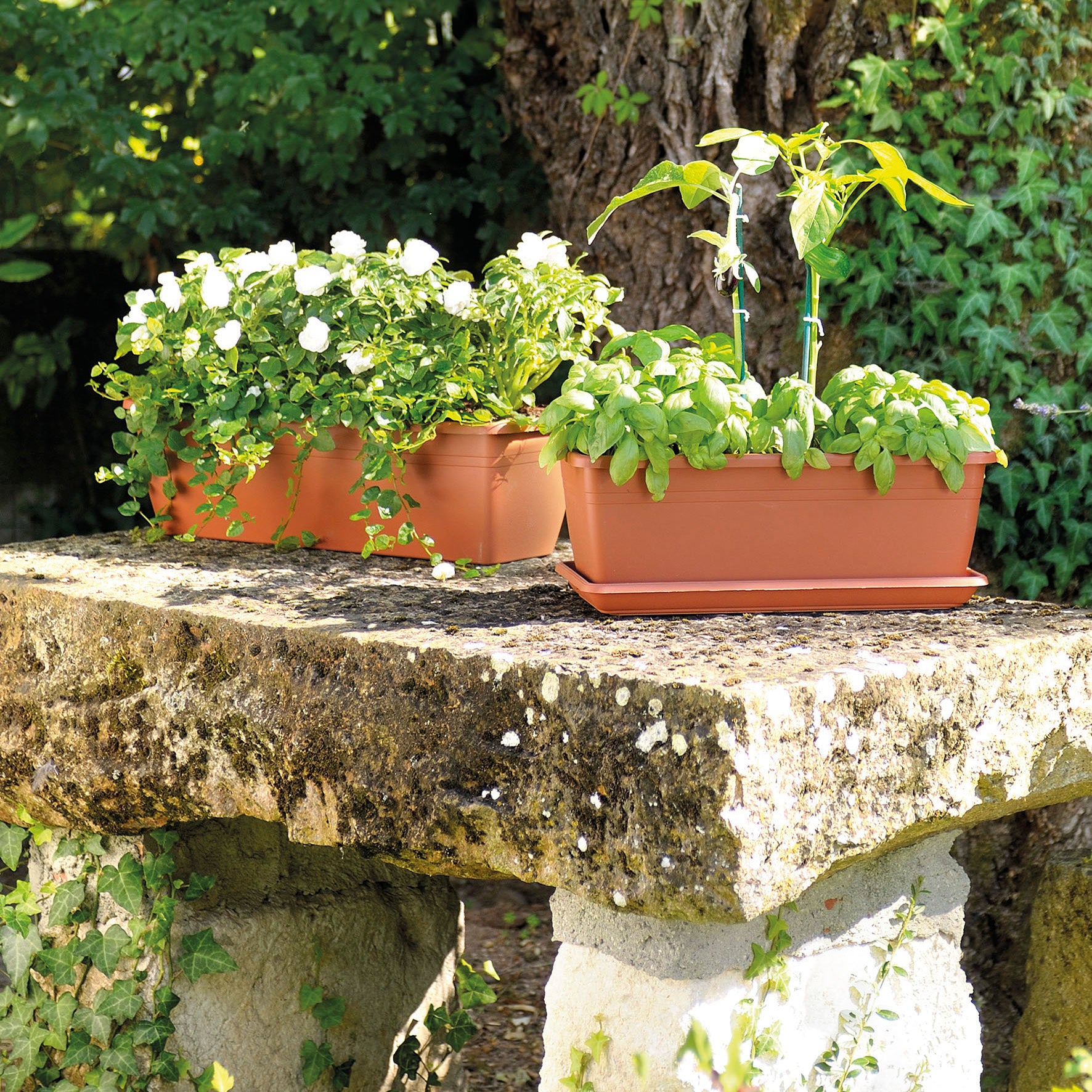 DEROMA Jardinière Day R Cotto 40cm