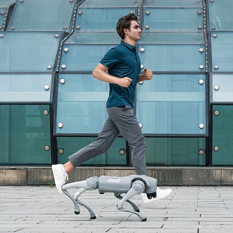 Chien robot quadrupède bionique Unitree Go2 Pro haute performance | Vitesse maximale 4,7 m/s + autonomie 90 min | Robot compagnon bionique à intelligence incarnée, animal électronique | Vision panoramique 360° + navigation SLAM + modes IA | Adapté à