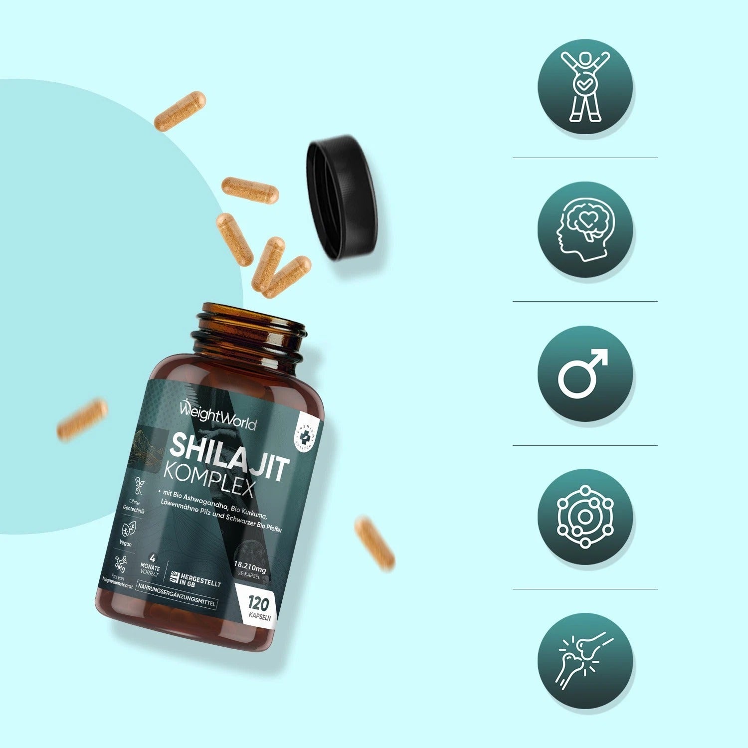 WeightWorld Complexe de Shilajit 120 gélules