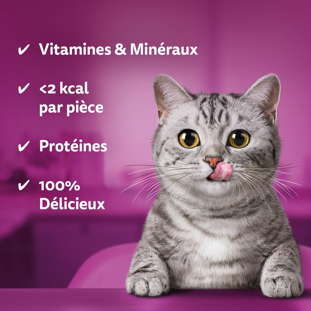 Whiskas Temptations friandises pour chat adulte au poulet et au fromage - 60 g