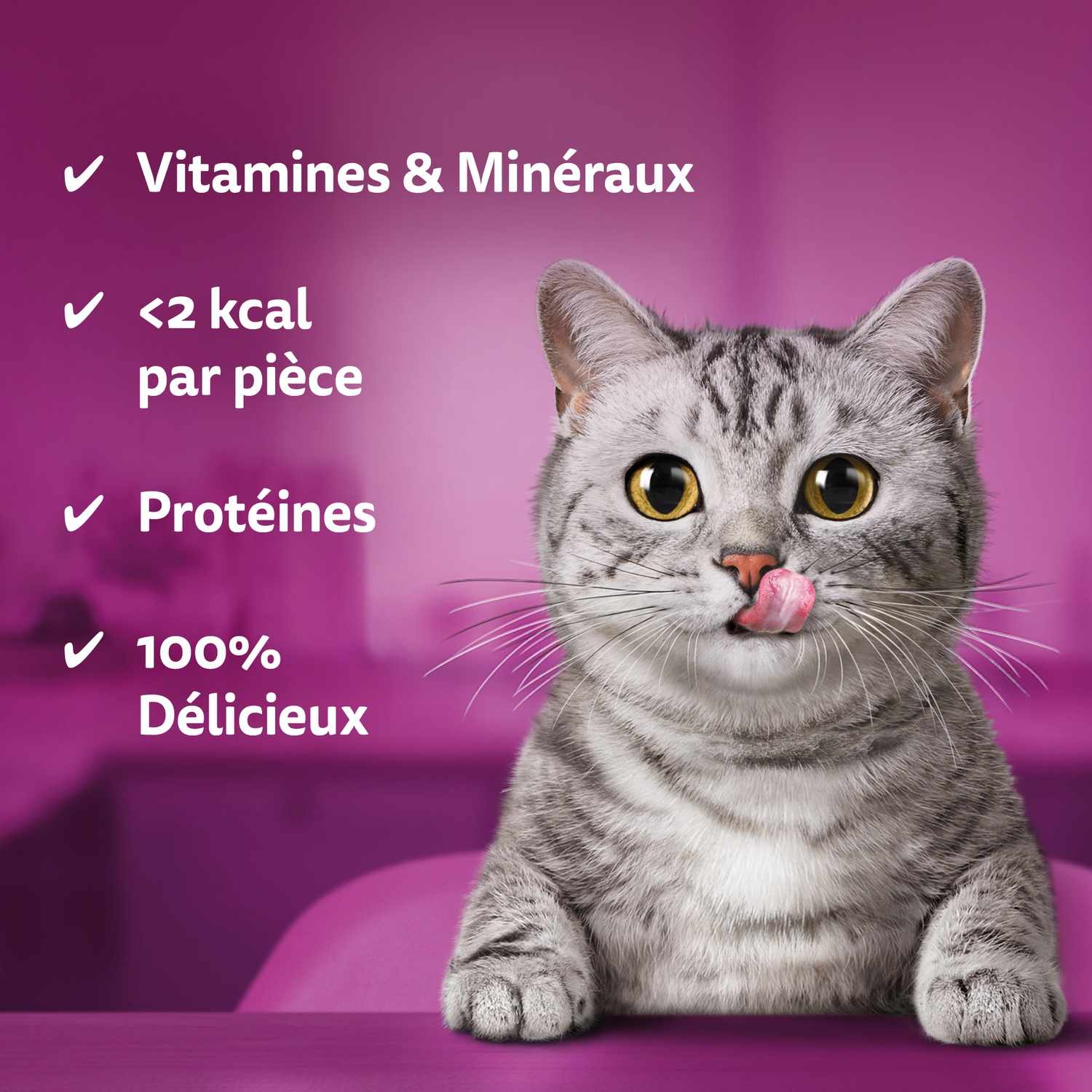 Whiskas Temptations friandises pour chat adulte au poulet et au fromage - 60 g