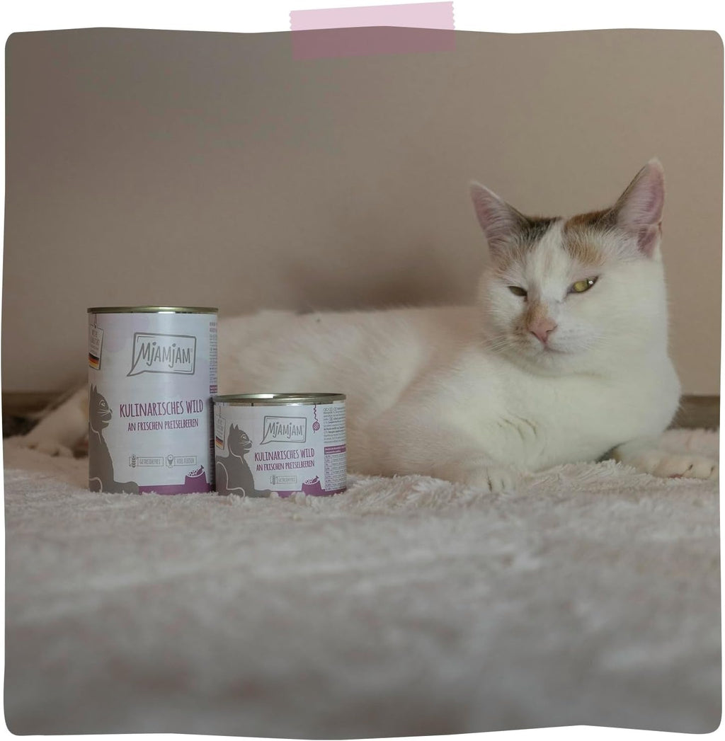 [Peut être servi frais pour l'été] MjAMjAM Nourriture humide culinaire pour chat Jeu canneberge - 400 g x 6