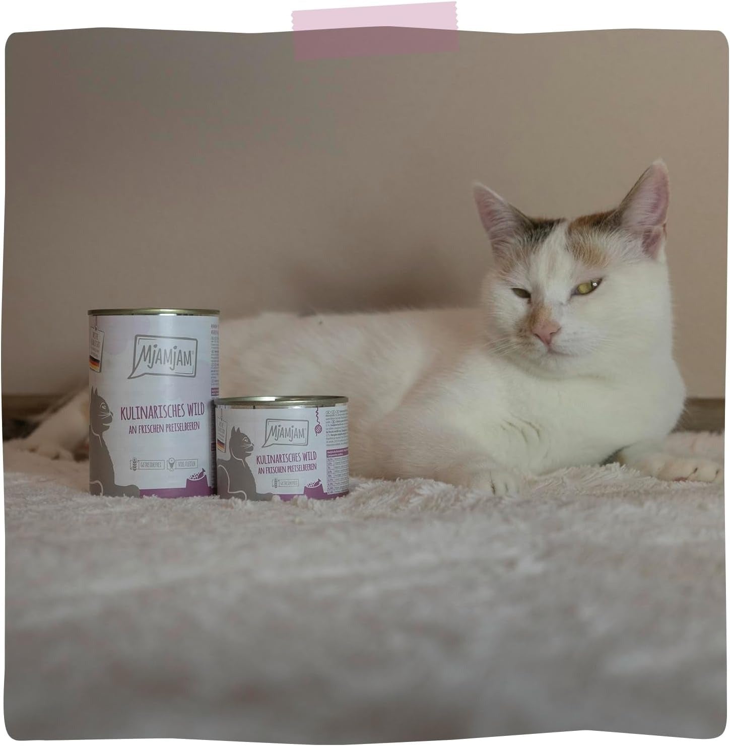 [Peut être servi frais pour l'été] MjAMjAM Nourriture humide culinaire pour chat Jeu canneberge - 400 g x 6