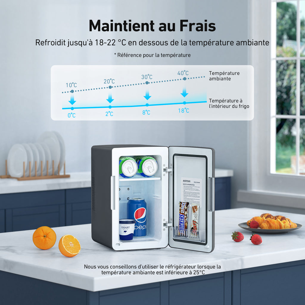 AstroAI Mini-réfrigérateur portable chaud/froid CA/CC 6 L 8 canettes Noir profond