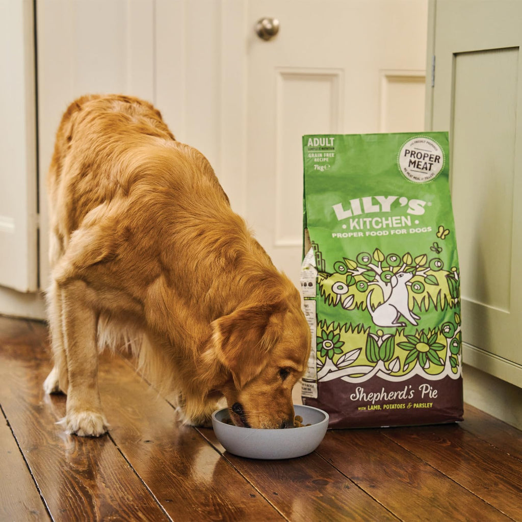 Lily's Kitchen Aliment sec pour chien adulte à l'agneau 7 kg