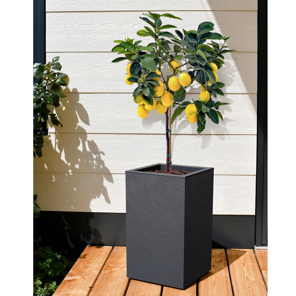 EDA Pot Carré haut VOLCANIA UP Gris anthracite haut Avec zone de rétention d'eau Dim. 29,5 x 29,5 x 49,5 cm - Volume 36 L