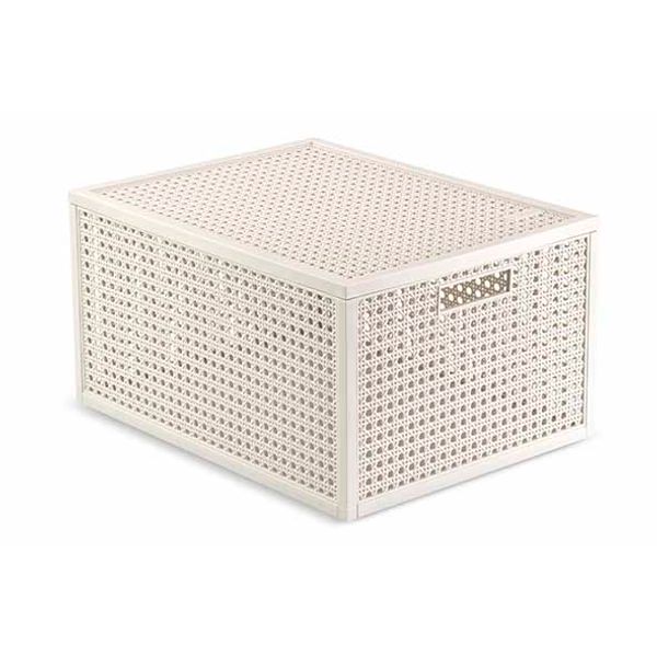 CURVER Boîte KAYA 20L 41.6 x 30.0 x 7.1 cm