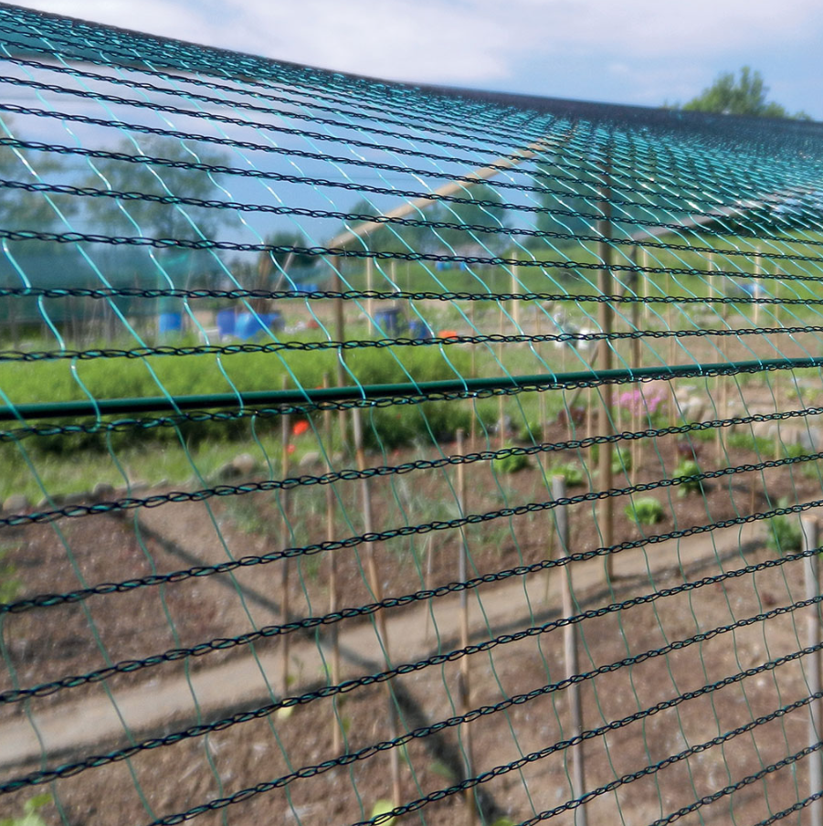 TENAX Defender Filet anti-grêle en plastique vert - 2 x 100 m