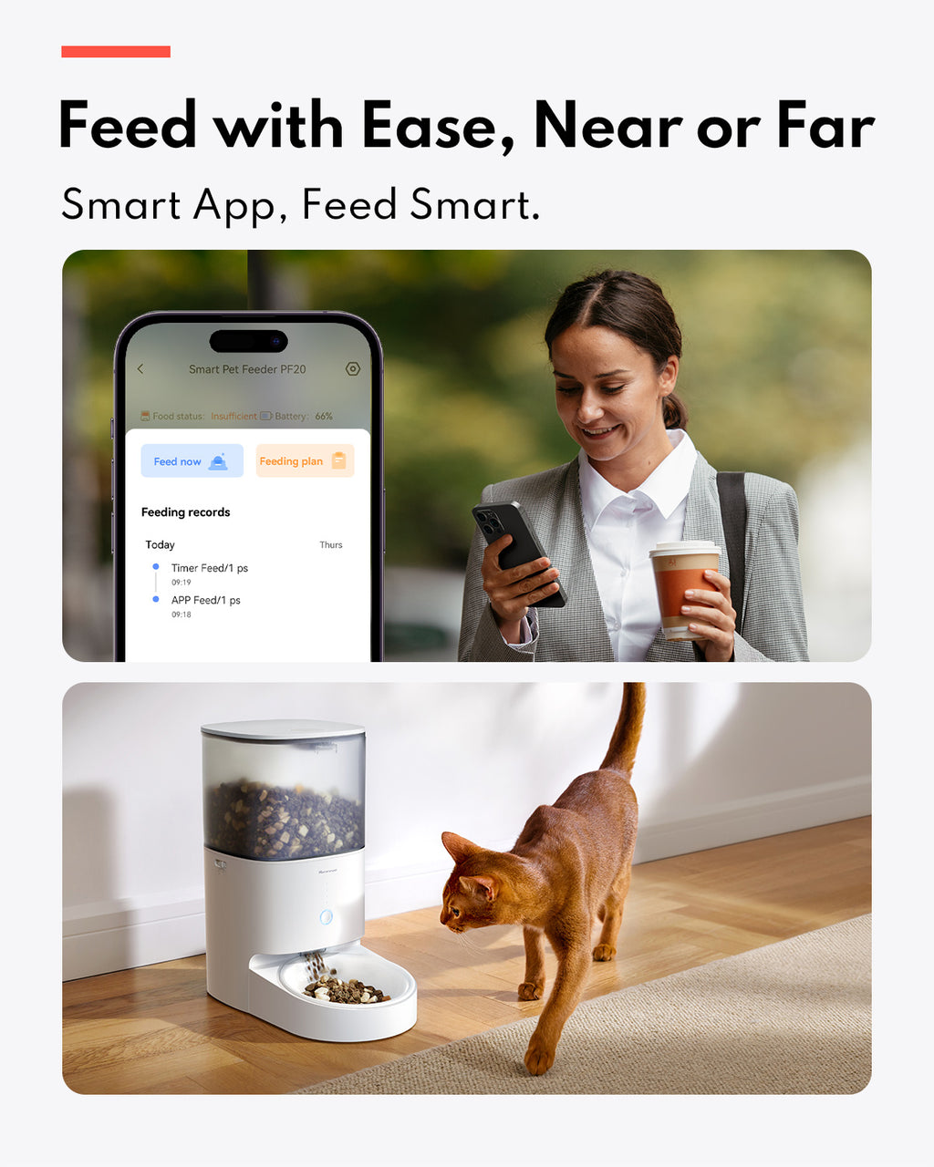 Homerunpet Distributeur automatique de nourriture pour animaux - Bol en acier inoxydable 304 - Contrôlé par application - Autonomie de batterie 6 mois - Triple verrouillage fraîcheur - Capacité 4 L