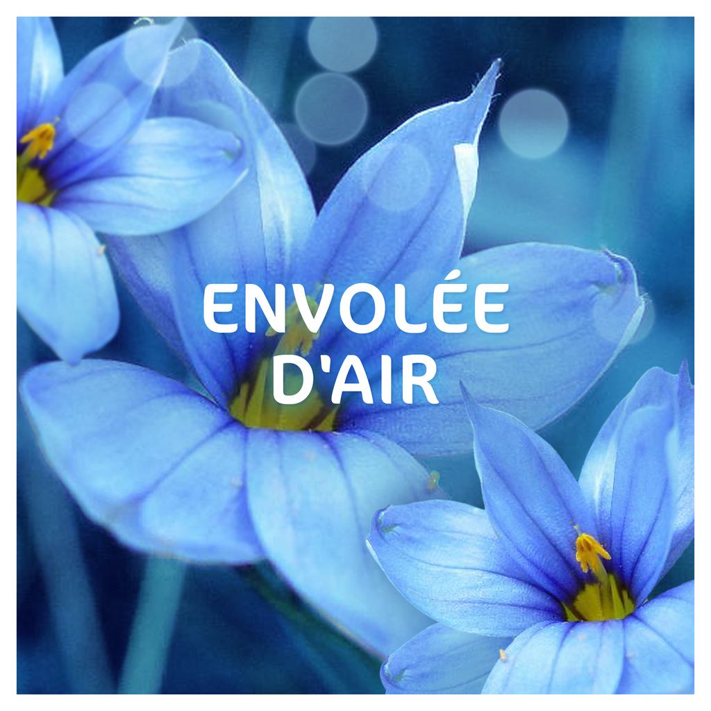 Dash Tablettes 2-en-1 Envolées d'en air, 19 doses