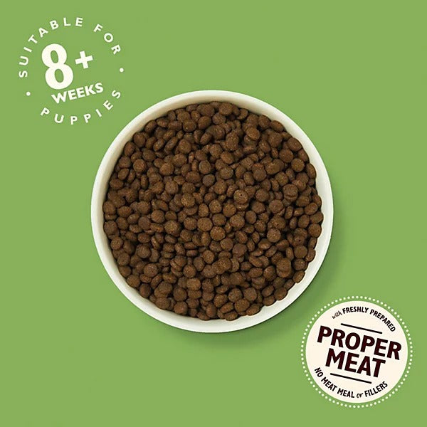 Lily's Kitchen Aliment sec pour chiot au poulet et au saumon 7 kg